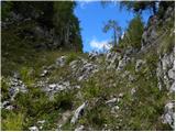 Konec ceste na Vogar - Planina Dedno Polje